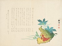 Squash Vine by Ueda Kōchū