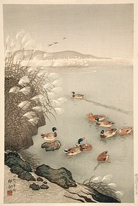 Mallard Ducks Swimming by Pampas Grass by Ohara Shōson