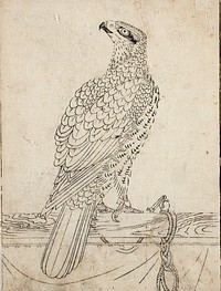 Hawk Tethered to a Perch by After Soga Chokuan  active 1596 1610
