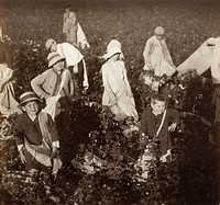 Near Waxahachie, Tex. by Lewis Wickes Hine