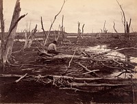 Drowned Lands Of The Raquette Lare by Seneca Ray Stoddard