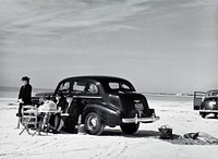 Picnic, Sarasota, Fla. by Marion Post Wolcott