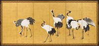 Cranes by Maruyama Ōkyo