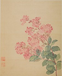 Hydrangea by Ma Yuanyu