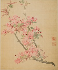 Crabapple Blossoms by Ma Yuanyu