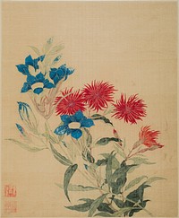 Blue Gentiana and Red Lychnis by Ma Yuanyu