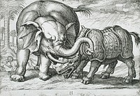 A Rhinoceros Fighting an Elephant by Hendrik Hondius I and Antonio Tempesta