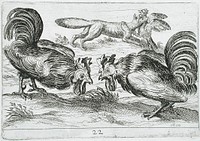 Two Roosters Fighting by Hendrik Hondius I and Antonio Tempesta