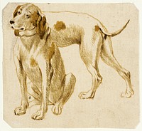 Study of a Dog by Frans Snyders