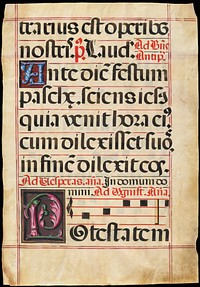 Leaf from a Gradual with the Initials 'A' and 'P'