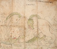 Lion Fighting a Dragon