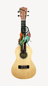 Guitar  musical instrument isolated image