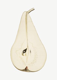 Pears vintage illustration, collage element psd