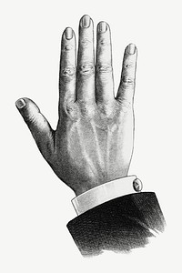 Businessman's hand, vintage gesture illustration psd. Remixed by rawpixel.