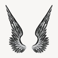 Angel's wings, vintage illustration. Remixed by rawpixel.