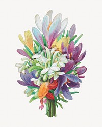 Colorful flower bouquet, vintage botanical illustration. Remixed by rawpixel.