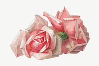 French rose, vintage flower illustration by Paul de Longpre psd. Remixed by rawpixel.