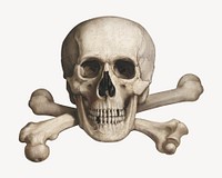 Memento mori, human skull illustration by Jozef Hanula. Remixed by rawpixel.