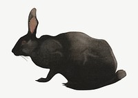 A Black Rabbit, vintage animal illustration by Joseph Crawhall psd. Remixed by rawpixel.