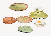 Water lilies watercolor illustration element. Remixed from Maria Wiik artwork, by rawpixel.