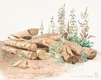 Some felled tree trunks, a water trough and various plant growths by Johan Thomas Lundbye. Digitally enhanced by rawpixel.