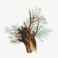 Tree watercolor illustration element psd. Remixed from vintage artwork by rawpixel.