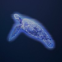 Sea turtle, blue digital remix psd