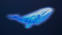 Whale sealife element, blue digital remix psd