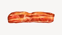 Smoked bacon, breakfast food illustration