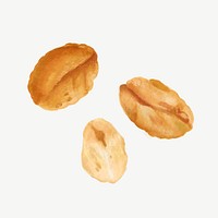 Peanut seed, food ingredient collage element psd