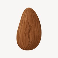 Almond seed, food ingredient illustration