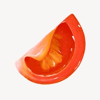 Tomato vegetable, healthy food illustration