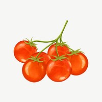 Tomato vegetable, healthy food collage element psd