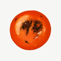 Burnt tomato vegetable, healthy food collage element psd