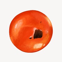 Burnt tomato vegetable, healthy food illustration