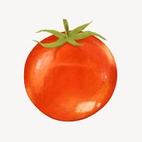 Cherry tomato vegetable, healthy food illustration