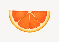 Orange slice fruit, healthy food illustration