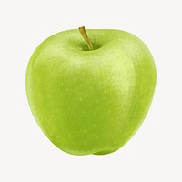 Green apple fruit, healthy food illustration