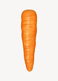 Carrot vegetable, healthy food illustration