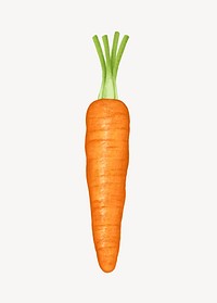 Carrot vegetable, healthy food illustration