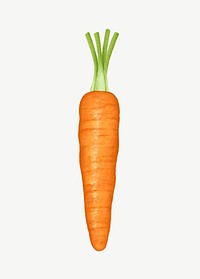 Carrot vegetable, healthy food collage element psd