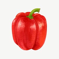 Red bell pepper vegetable, healthy food collage element psd