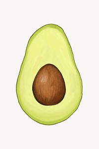 Avocado fruit, healthy food illustration