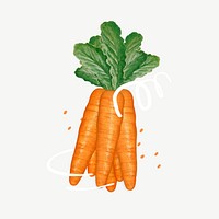 Carrot vegetable, healthy food collage element psd