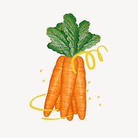 Carrot vegetable, healthy food illustration