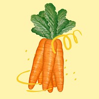 Carrot vegetable, healthy ingredient illustration