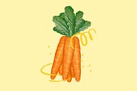 Carrot vegetable, healthy ingredient illustration