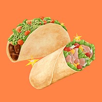 Mexican taco, salad wrap, food illustration