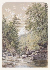 Catskill Clove in Palingsville  by William Rickarby Miller