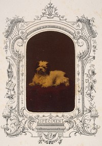 Les Chiens by Pierre-Louis Pierson